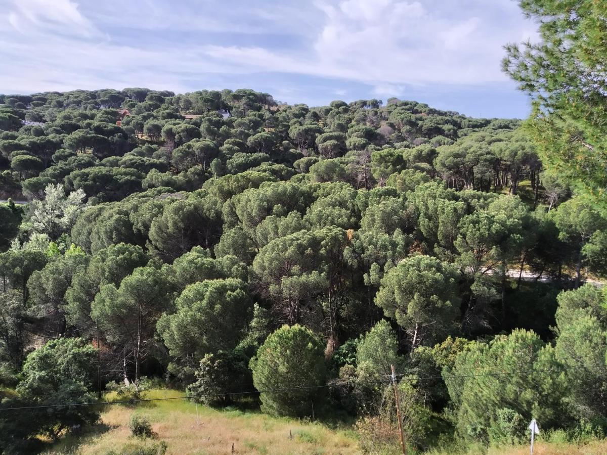 San Martín de Valdeiglesias El Mirador De Bacha 아파트 외부 사진