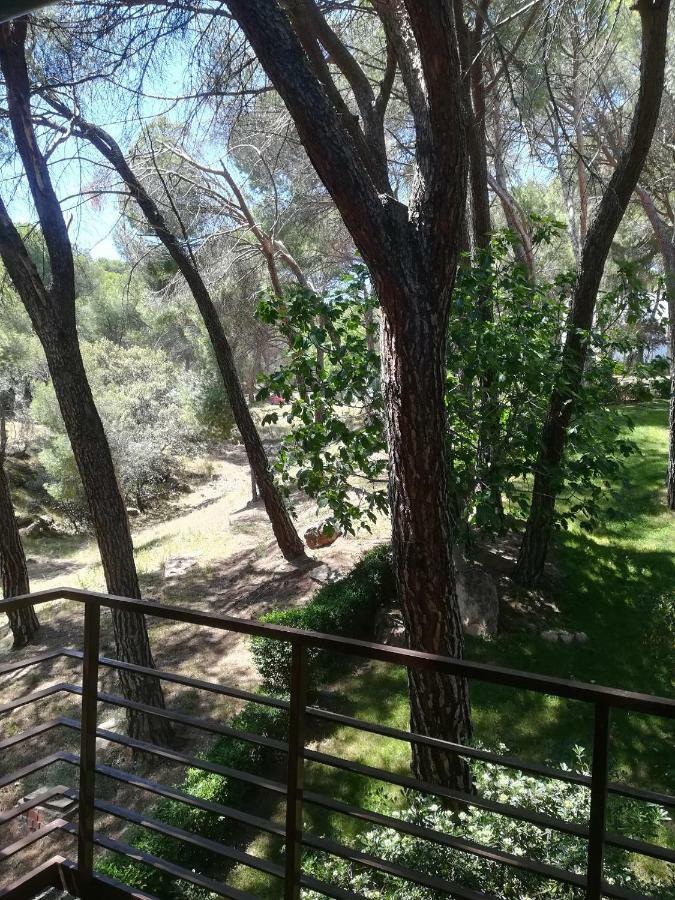 San Martín de Valdeiglesias El Mirador De Bacha 아파트 외부 사진